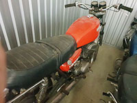 RED SUZUKI